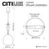Миниатюра фото подвесной светильник citilux fernet cl254410 | 220svet.ru